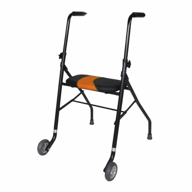 Déambulateur à 2 roues